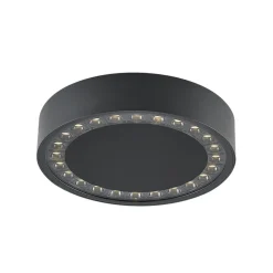 Molto Luce udendørs loftlampe Nona, Ø 22,8 cm, antracit