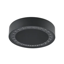 Molto Luce udendørs loftlampe Nona, Ø 22,8 cm, antracit