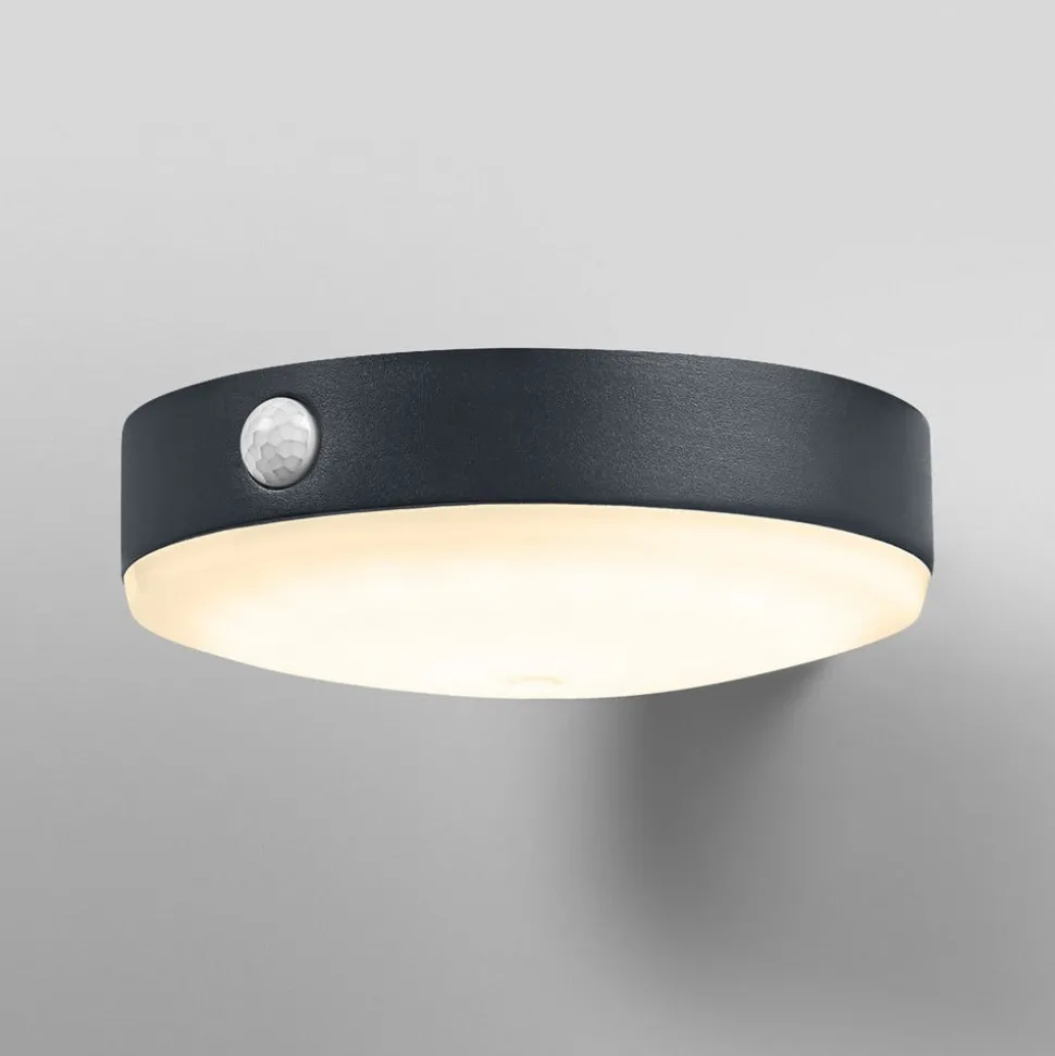 OSRAM LED-sensor-væglampe ENDURA STYLE TOSSA Solar 16 cm 830