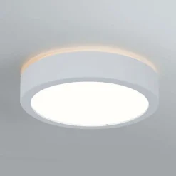 Paulmann Aviar LED-loftlampe Ø 22 cm hvid 4.000 K