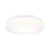 Paulmann Axin loftlampe IP44 med E27 fatning