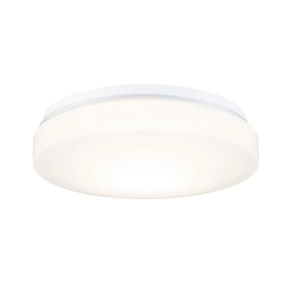 Paulmann Axin loftlampe IP44 med E27 fatning