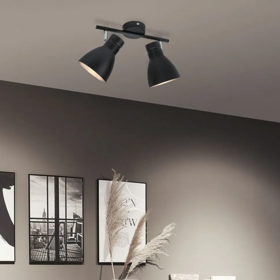 Paulmann Davy loftlampe, sort, 2 lyskilder