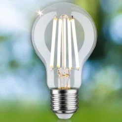 Paulmann Eco-Line LED-pære E27 4 W 840lm 3.000 K