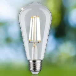 Paulmann Eco-Line LED-pære E27 4W 840lm 3.000 K