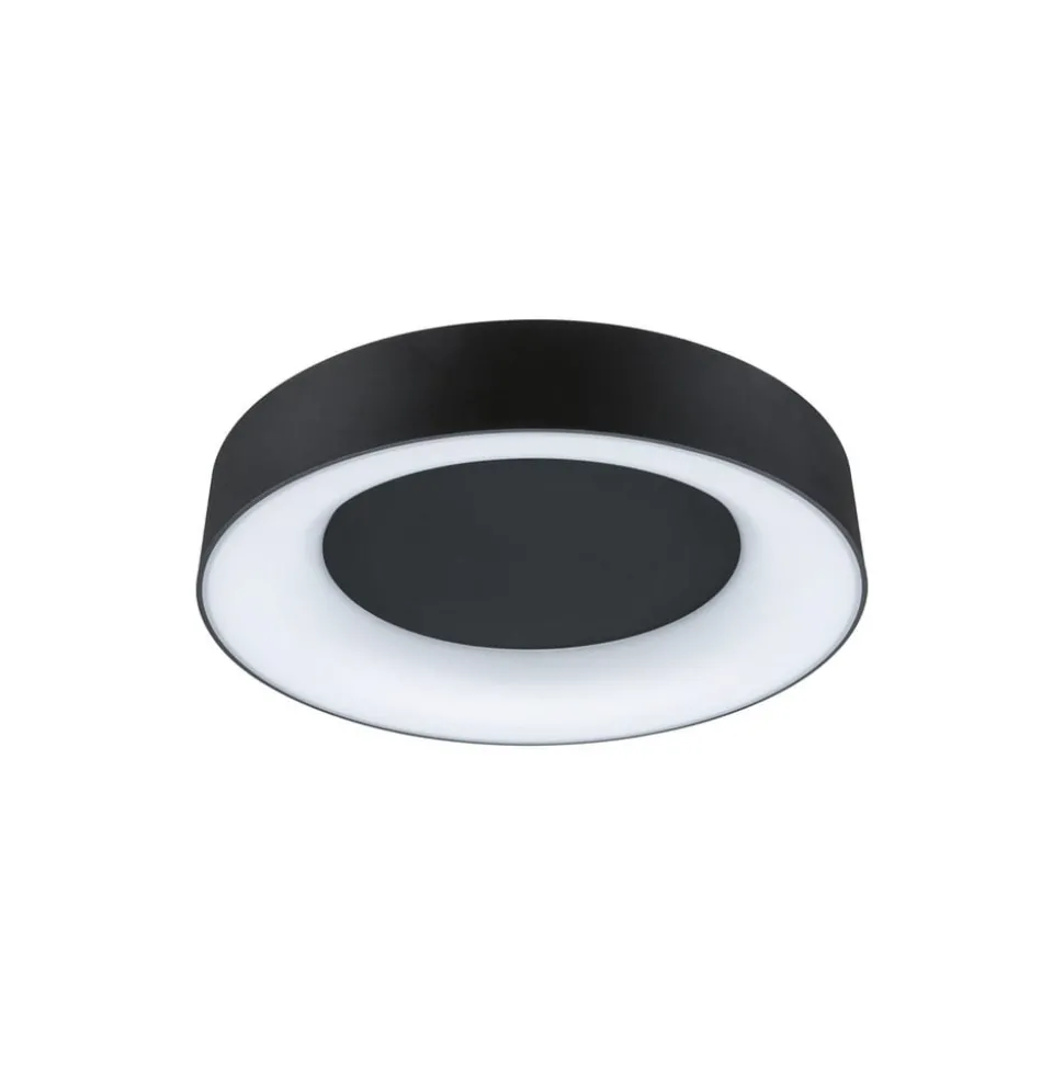 Paulmann HomeSpa Casca loftlampe Ø40cm sort