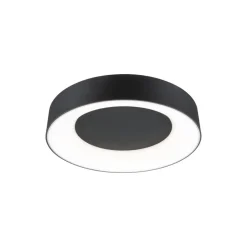 Paulmann HomeSpa Casca loftlampe Ø40cm sort