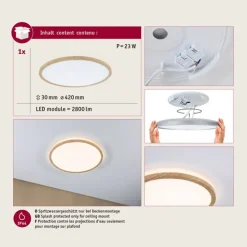 Paulmann LED-loftslampe Atria Shine Ø42cm eg IP44 3.000K