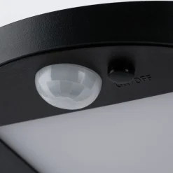 Paulmann LED-solcellelampe til udendørs væglampe Ryse, antracit