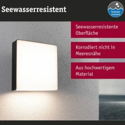 Paulmann LED udendørs væglampe Azalena, sensor, antracit