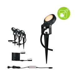 Paulmann Plug & Shine Sting Spot 2200K 3x basissæt