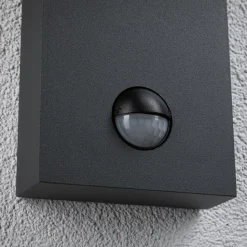 Paulmann Puka LED udendørs væglampe med sensor