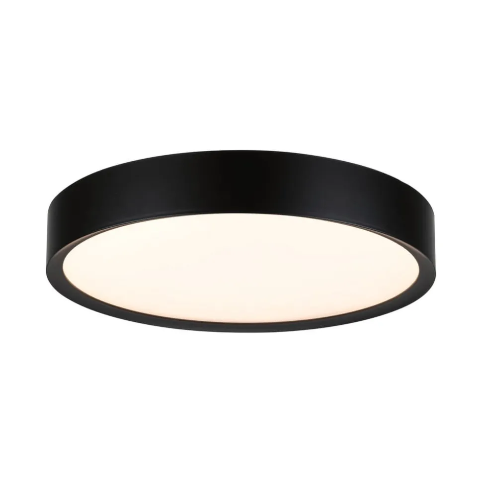 Paulmann Tega LED-loftlampe IP44 CCT sort