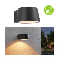 Paulmann udendørs LED-væglampe Capea, antracit, aluminium, IP44