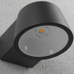 Paulmann udendørs LED-væglampe Capea, antracit, aluminium, IP44