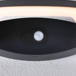 Paulmann udendørs LED-væglampe Akena, 2.200 K, antracit