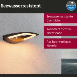 Paulmann udendørs LED-væglampe Akena, 2.200 K, antracit
