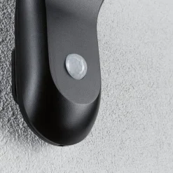 Paulmann udendørs LED-væglampe Diskola, sensor, antracit