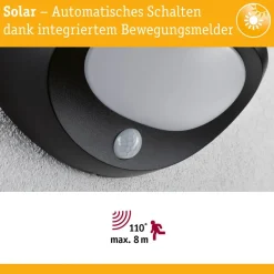 Paulmann udendørs LED-væglampe Sorova, sensor, antracit