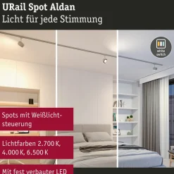Paulmann URail Aldan LED-spotlight, mat krom, metal, CCT
