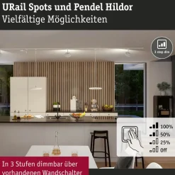 Paulmann URail Hildor LED-spot hvid 4.000 K