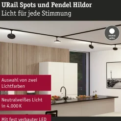 Paulmann URail Hildor LED-spot sort 4.000K