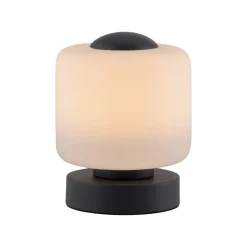 Paul Neuhaus LED-bordlampe Bota, antracit, glas, dæmpbar