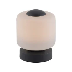 Paul Neuhaus LED-bordlampe Bota, antracit, glas, dæmpbar
