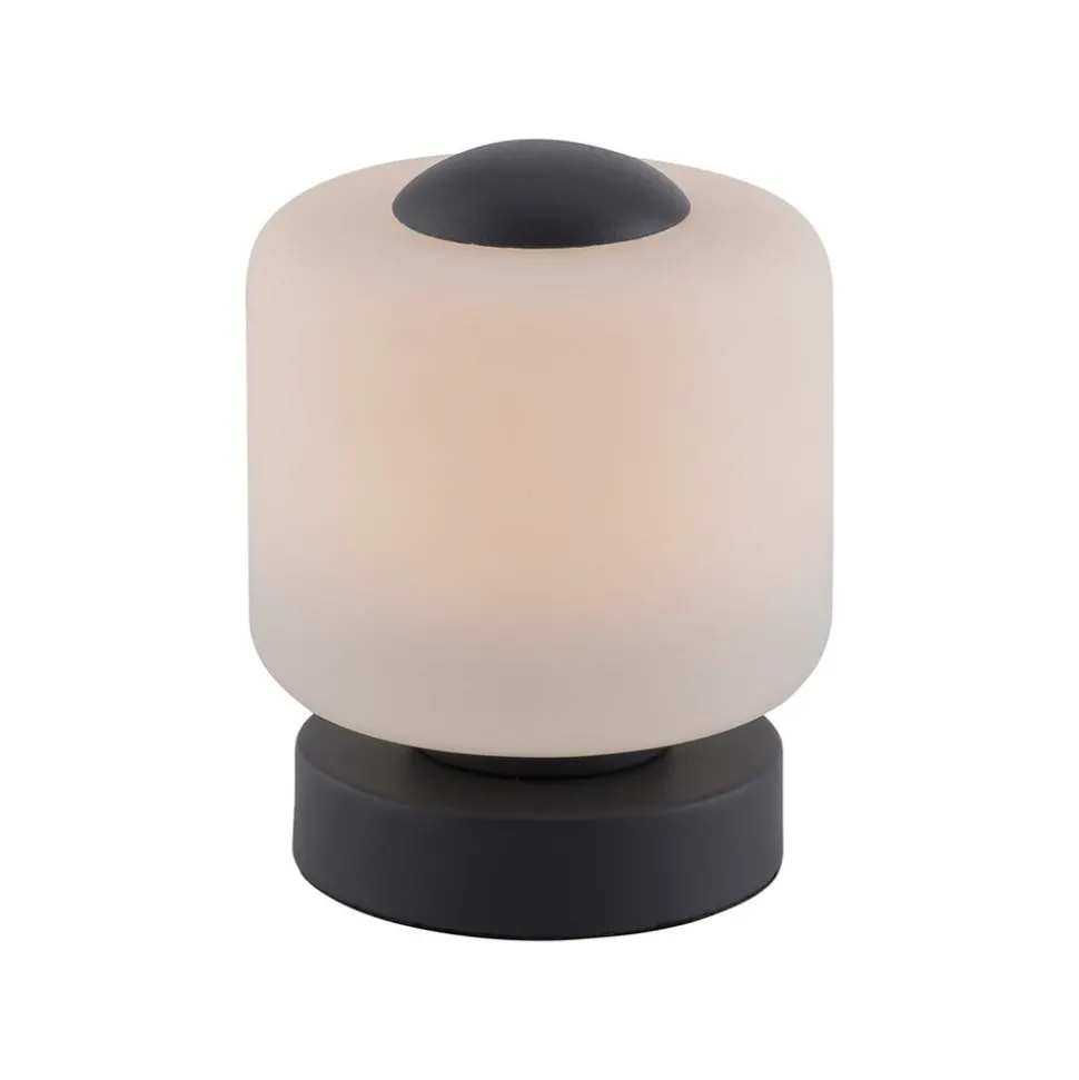 Paul Neuhaus LED-bordlampe Bota, antracit, glas, dæmpbar