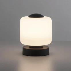 Paul Neuhaus LED-bordlampe Bota, antracit, glas, dæmpbar