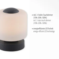Paul Neuhaus LED-bordlampe Bota, antracit, glas, dæmpbar