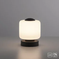 Paul Neuhaus LED-bordlampe Bota, antracit, glas, dæmpbar