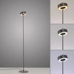 Paul Neuhaus LED-gulvlampe Q-Rotate mørkebrun 140 cm