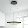 Paul Neuhaus LED-hængelampe Hoop, sort, Ø 57 cm, dæmpbar