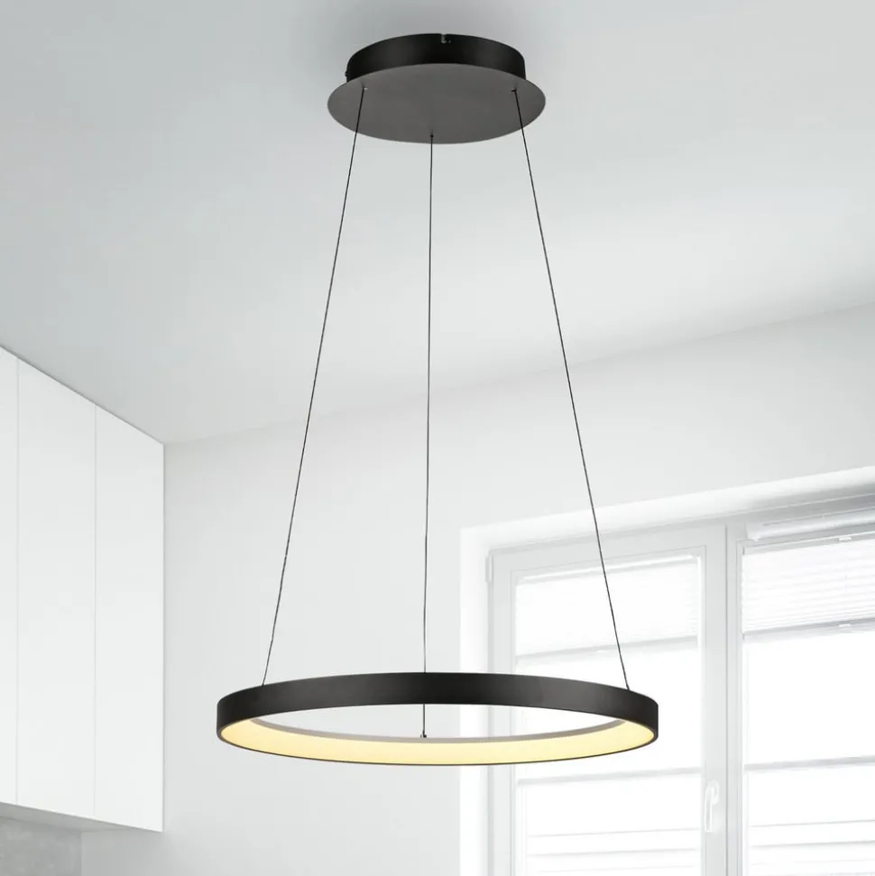 Paul Neuhaus LED-hængelampe Hoop, sort, Ø 57 cm, dæmpbar