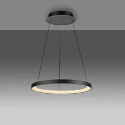 Paul Neuhaus LED-hængelampe Hoop, sort, Ø 57 cm, dæmpbar