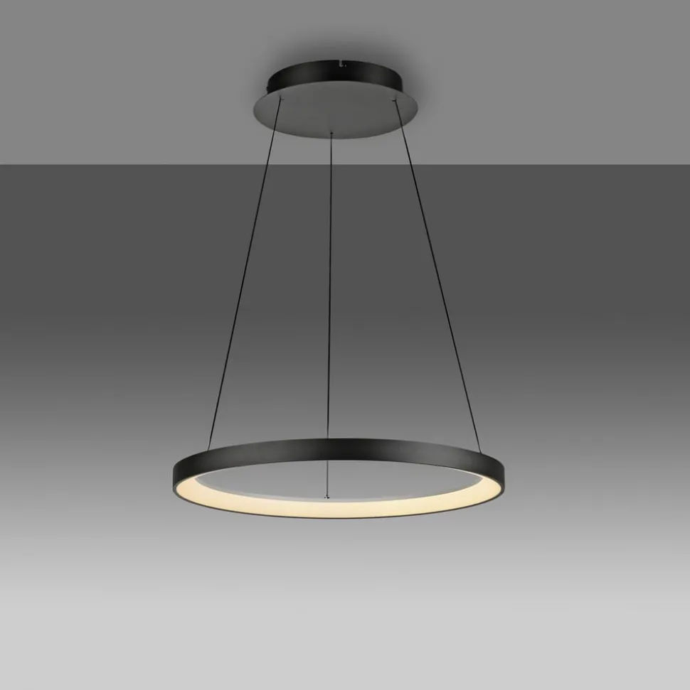 Paul Neuhaus LED-hængelampe Hoop, sort, Ø 57 cm, dæmpbar