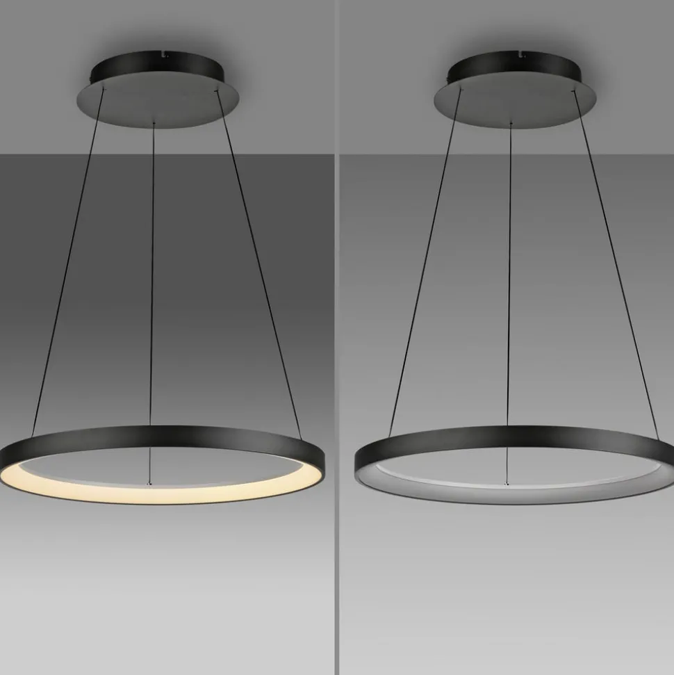 Paul Neuhaus LED-hængelampe Hoop, sort, Ø 57 cm, dæmpbar