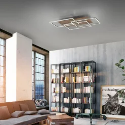 Paul Neuhaus Palma LED-loftlampe CCT ramme