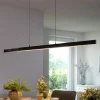 Paul Neuhaus Q-ARIAN LED-pendellampe, antracit