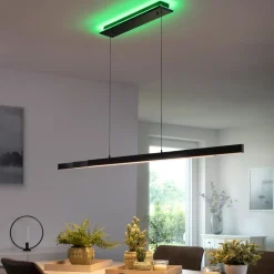 Paul Neuhaus Q-ARIAN LED-pendellampe, antracit