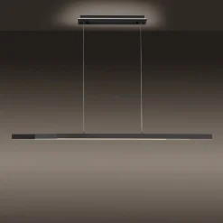 Paul Neuhaus Q-ARIAN LED-pendellampe, antracit