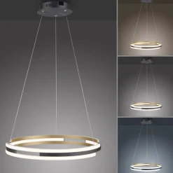 Paul Neuhaus Q-Beluga LED-hængelampe, messing
