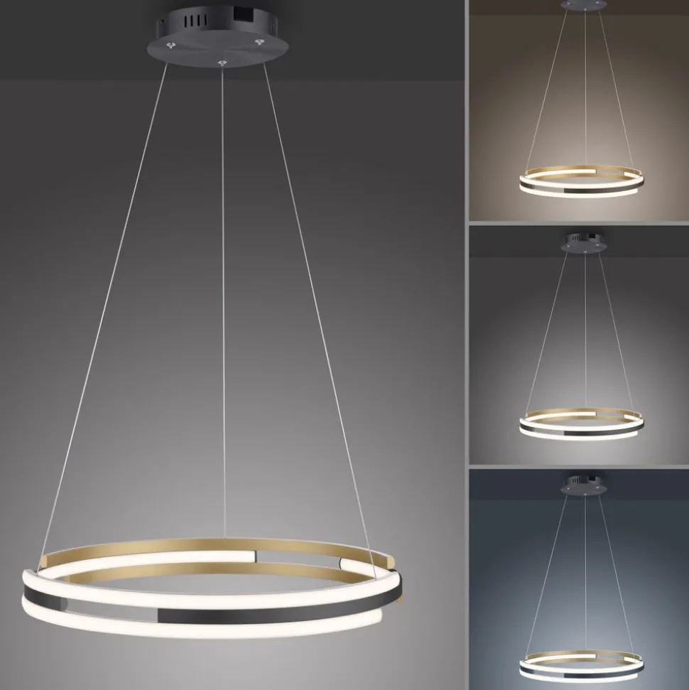 Paul Neuhaus Q-Beluga LED-hængelampe, messing