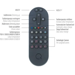 Paul Neuhaus Q-Beluga LED-hængelampe, messing