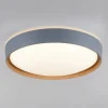 Paul Neuhaus Q-EMILIA LED-loftslampe, grå/træ