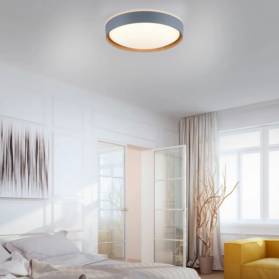 Paul Neuhaus Q-EMILIA LED-loftslampe, grå/træ