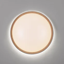 Paul Neuhaus Q-EMILIA LED-loftslampe, grå/træ