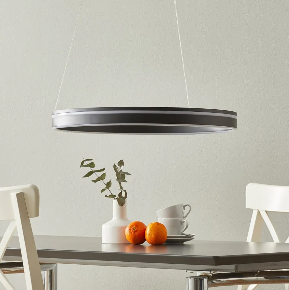 Paul Neuhaus Q-VITO LED-hengelampe 59 cm antracit