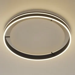 Paul Neuhaus Q-VITO LED-loftlampe 59 cm antracit